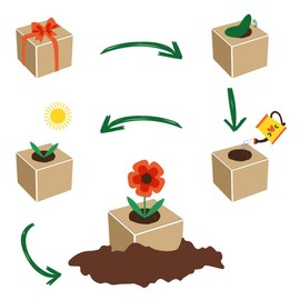 Feel Green 296657 Celebrations Ecocube, Heart Leaf Clover/Love Plant, Wooden Cube with Laser Engraving "Hab Dich Lieb", Sustainable Gift Idea, Growing Set, Made in Austria