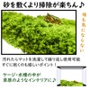 Active Island Reptile Flooring Mat Thermal Moisturizing Sheet Breeding Green