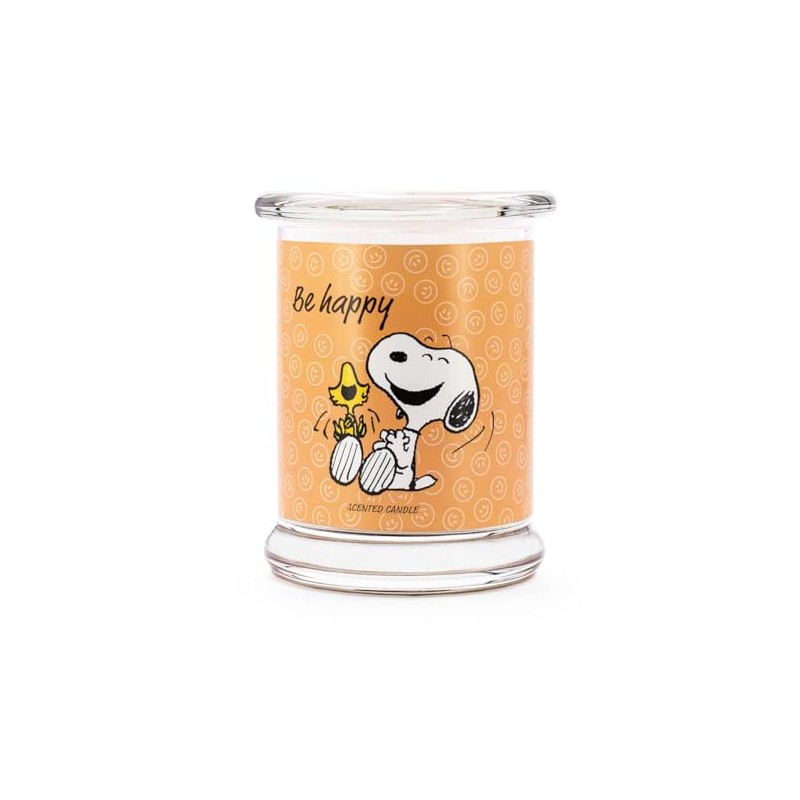 Peanuts Gift Idea (Be Happy)