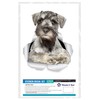 Winston & Bear Curious Schnauzer Dog Wall Decals - 2