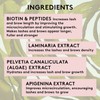 Mylee Enhancing Eyelash Serum for Lashes and Brows - Natural
