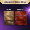 Koleston Tinte Permanente 764 Rojo Fashion