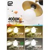 CRLight 5-inch 15W 4000K Neutral Opal G125 Large Globe LED