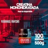 Creatina Monohidratada Warhorse 500 Gramos En Polvo Varios