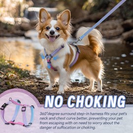 Dog Harness Leash Set, No Pull Adjustable Halter Cute Comfort Padded Handle for Medium Sized Large Small Dogs Walking Training Running with Reflective（Large,Red Blue）