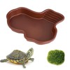 TINGTING Reptile Bath Tub, Turtle Water Bowl with Simulated Moss