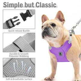 Dog Harness with Leash Set, No-Pull Pet Harness with 1 Leash Clips, Adjustable Soft Padded Pet Vest for Small Medium Dogs No Pull, Puppy Harness and Leash Set (Purple, S)