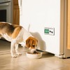Dogs Feeding Reminder Sign with Magnet, Pet Feeding Tracker with