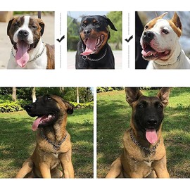 Dog Choke Collar Slip P Chain,Heavy Chain Dog Metal Training Choke Collars, Martingale Puppy Collars for XS Small Medium Large Big XL Breed Dogs (Silver, M(Neck Max 18inch) D3.0mm)