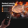 Orka Meat It 3 Wireless Bluetooth Meat Thermometer for Cooking