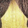 AILEXI 2 Pack 3ft*8ft Party Supplies Foil Fringe Shimmer Curtains,