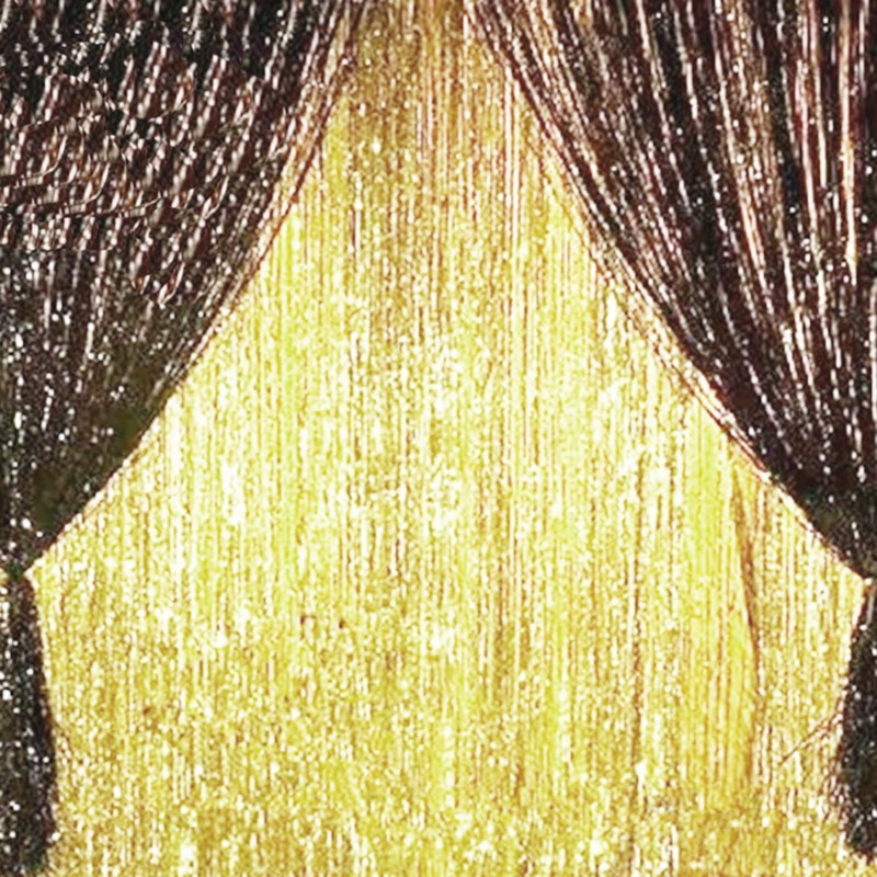 AILEXI 2 Pack 3ft*8ft Party Supplies Foil Fringe Shimmer Curtains,