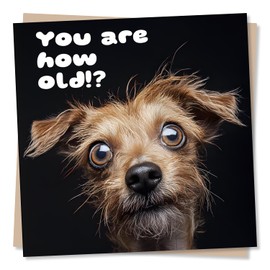 Funny Confused Dog Birthday Card - You Are How Old?! - Funny Birthday Card For Friend, Men, Dad, Brother, Bestie