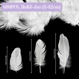 SUNRIZ Pack of 600 Feathers for Crafts, 8-12 cm, Natural Feathers for Dream Catchers, Wedding Decoration, Wedding Decorations, Carnival Easter Masks, School Crafts (White)
