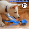 Interactive Cat Ball Toy, Automatic Moving Ball for Dog Toy,