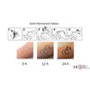 GZBH23 24 Temporary Bracelet Tattoo Rose Tattoo Butterfly Tattoo Semi-Permanent