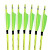 annastar 30" Carbon Feather Arrows Practice Hunting Arrows Spine 300