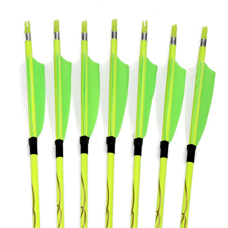annastar 30" Carbon Feather Arrows Practice Hunting Arrows Spine 300