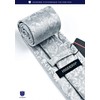 Hisdern TP-01S Paisley Pattern Necktie and Square Set, 20 Colors,