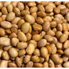 Frijoles de Mantequilla Butter Beans Heirloom Seeds for Planting Packet