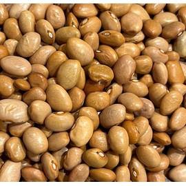 Frijoles de Mantequilla Butter Beans Heirloom Seeds for Planting Packet