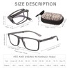 OPTOFENDY Folding Reading Glasses for Men Women, Lightweight Spring Hinge