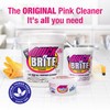 Quick N Brite All Purpose Cleaning Paste, True All Purpose