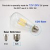 OPALRAY Low Voltage DC 12V/24V 6W LED Bulb, Edison Style