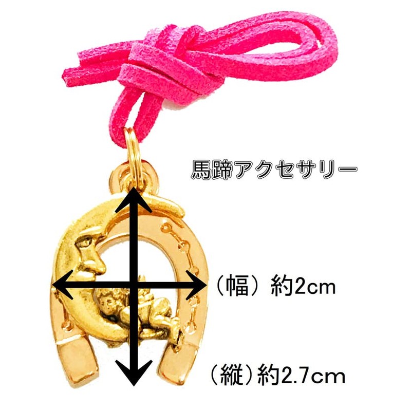 [puntouno] Puntouno Good Luck Horseshoe Accessories◆ Horse 1 "Running for