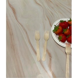 Hey Biota - Pack of 100 - Wooden Fork - Biodegradable & Plastic Free Wooden Forks - Eco Friendly, Compostable