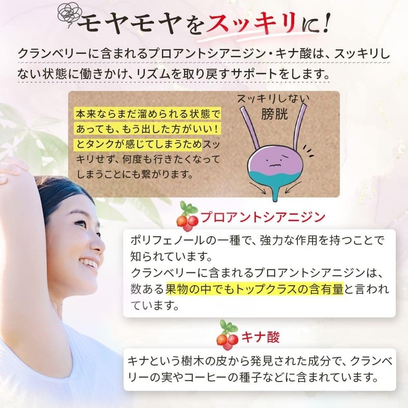 健康応援団 サプリメント クランベリーエキス&ぽかぽか酵素 女性応援セット クランベリーエキス 酵素 乳酸菌 しょうが ヒハツエキス