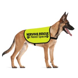 CENWA Nervous Rescue Dog Jacket Vest Nervous Rescue Space Dog Vest Dog Walking Slogan Warning Vest (Nervous Rescue L)