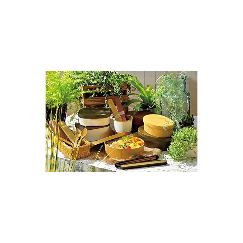 Tatsumiya Garden 303742 Magewappa Single Tier Lunch Box, Large, Antibacterial,
