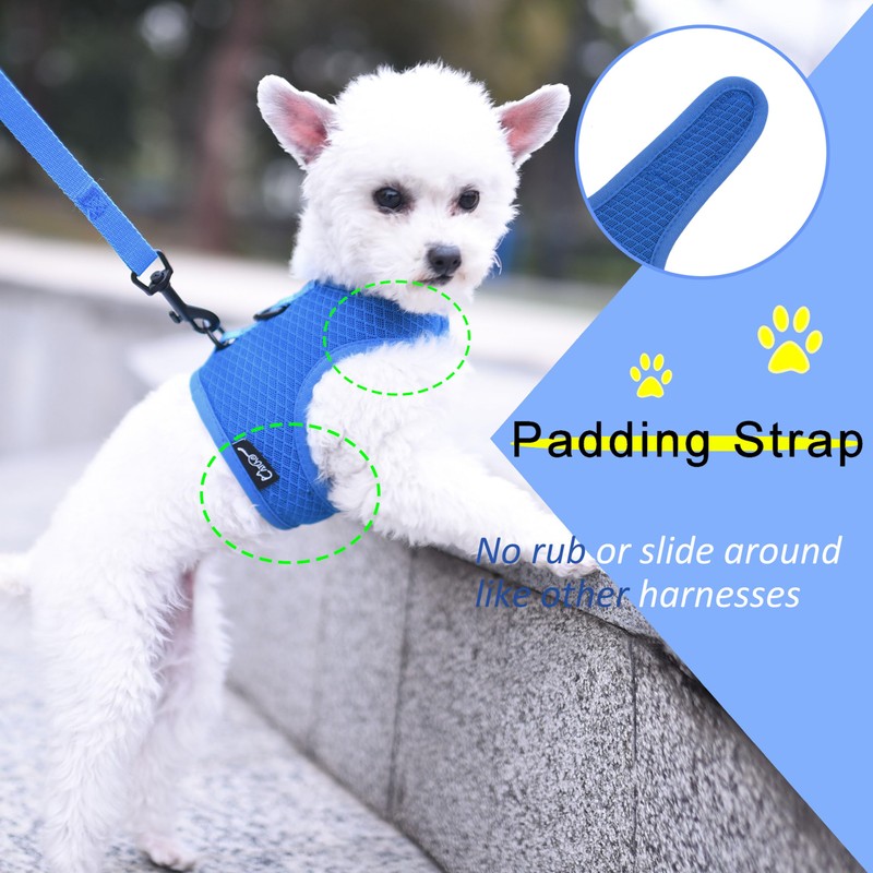Small Dog Harness and Leash Set Small Pet Harness for