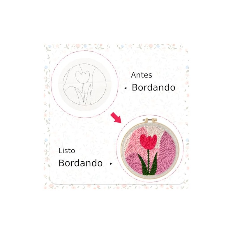 HASTHIP - HANNEA® Kit de Arte de Aguja Mágica de