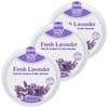 Citrus Magic For Closets Odor Absorbing Solid Air Freshener, Fresh