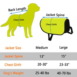 CENWA Nervous Dog Jacket Vest Rescue Dogs Anxious Dogs Scared Dogs Slogan Warning Vest (Nervous Dog L)