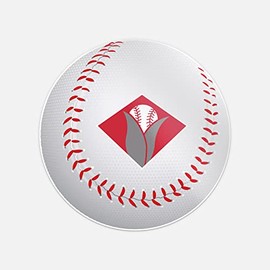 Cedar Rapids Kernels MiLB Old Symbol Logo Ball Vinyl Art Graphic Sticker Bumper Decal