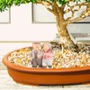 Veemoon Elderly Decorative Statue Resin Grandparents Statue Grandma Grandpa Statue