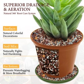 BIOMAND 2.5LB Lava Rocks for Plants-3/8 Volcanic Rock for Succulent Potting Mix, Cactus, Orchids & Bonsai-Porous Horticultural Grit for Drainage, Aeration & pH Balance - Decorative Top Dressing