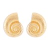 Big Seashell Stud Earrings for Women Gold Plated Hypoallergenic Fashion