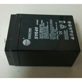 Rechargeable Battery for CAS ERJR Scale, New