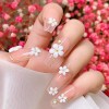 Anow Cajas De Acrílico 3d Colores Mezclados Flores Brillantes
