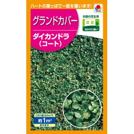 Takii Seedling Daikandra (Coat)