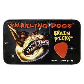 D'Andrea - Púas para guitarra de nailon con cerebro para perro, paquete de 12 con caja de lata (rojo, 0,73 mm)