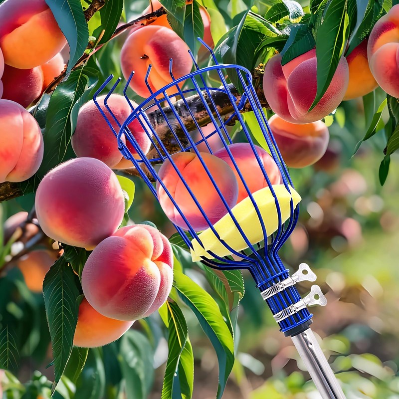 RAIN SPIRIT Fruit Picker Pole with Basket Telescoping tool extension