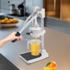 Manual Juicer Juice Extraction Machine Manual Fruit Press Squeezer for