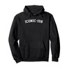 Iconic-ish Pullover Hoodie