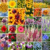 Eden Brothers Pacific Northwest Wildflower Mixed Seeds for Planting, 1/4