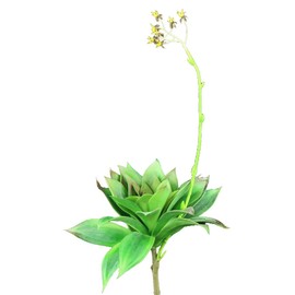 Shinoda Design Center 0031301180 Faux Succulent Stem, 20", Green/Burgundy